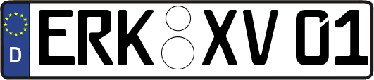 ERK-XV01