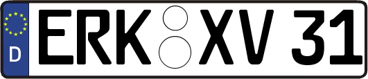 ERK-XV31