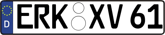 ERK-XV61