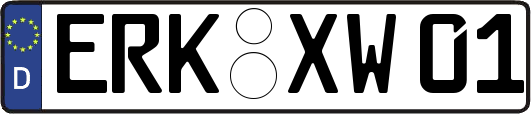 ERK-XW01