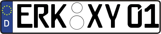 ERK-XY01