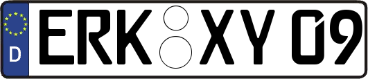ERK-XY09