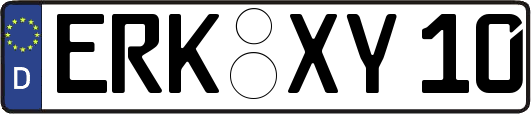 ERK-XY10