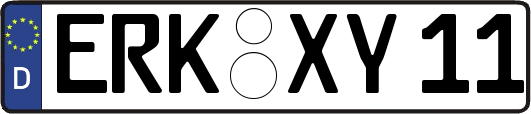 ERK-XY11
