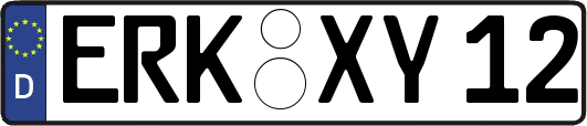 ERK-XY12
