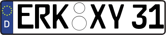 ERK-XY31