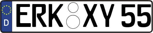 ERK-XY55