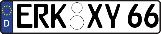 ERK-XY66