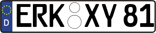 ERK-XY81