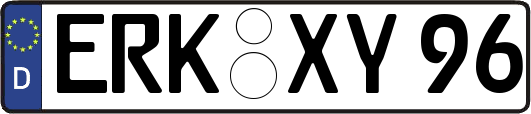 ERK-XY96