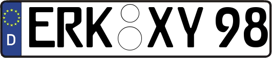 ERK-XY98