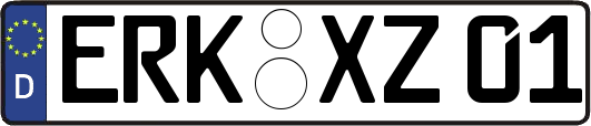 ERK-XZ01