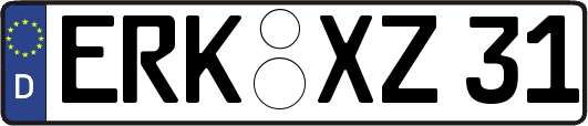ERK-XZ31