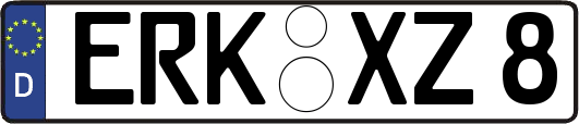 ERK-XZ8
