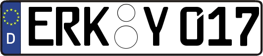 ERK-Y017