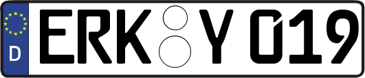 ERK-Y019