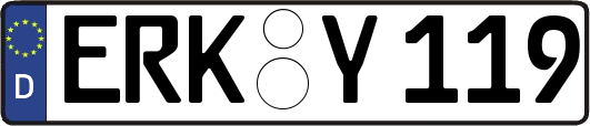 ERK-Y119