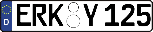ERK-Y125