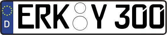 ERK-Y300