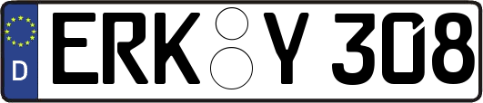 ERK-Y308