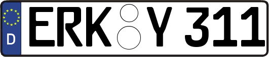 ERK-Y311