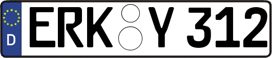ERK-Y312