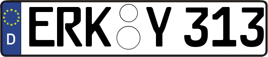 ERK-Y313