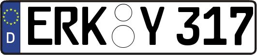 ERK-Y317