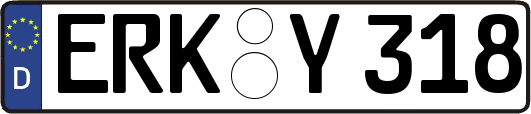 ERK-Y318