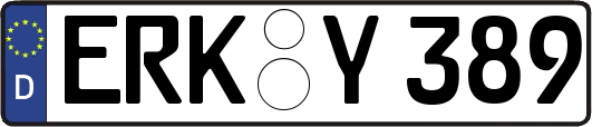 ERK-Y389