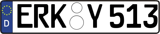ERK-Y513