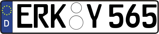 ERK-Y565