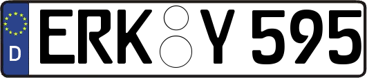 ERK-Y595
