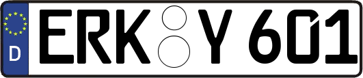 ERK-Y601