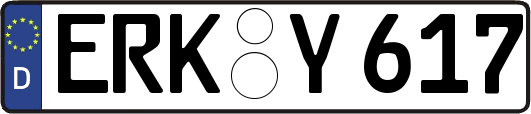 ERK-Y617