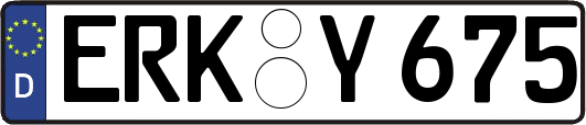 ERK-Y675