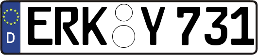 ERK-Y731