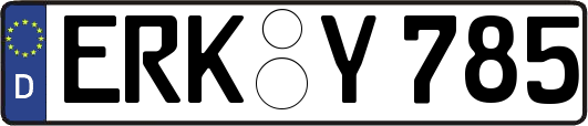 ERK-Y785