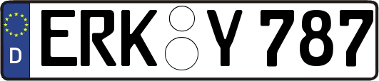 ERK-Y787