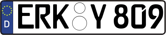 ERK-Y809