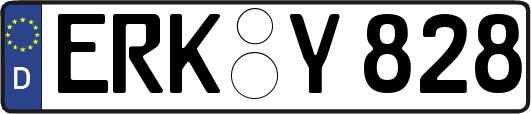 ERK-Y828