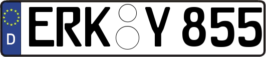 ERK-Y855
