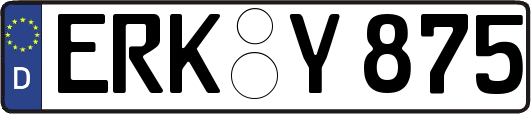ERK-Y875
