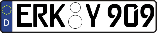 ERK-Y909