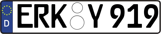 ERK-Y919