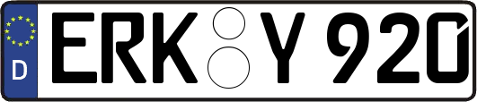 ERK-Y920