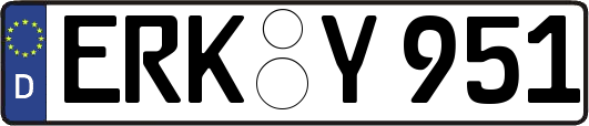 ERK-Y951