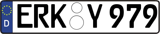 ERK-Y979
