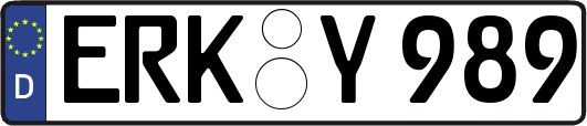 ERK-Y989