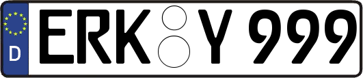 ERK-Y999